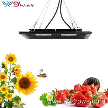 50W cob grow lights for indoor plants hydroponic